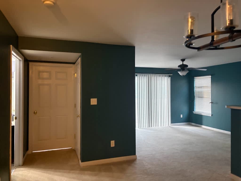 9201 Spring Creek Ln – photo 3