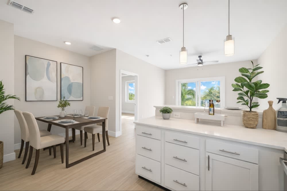 Viva Palm Coast – photo 4
