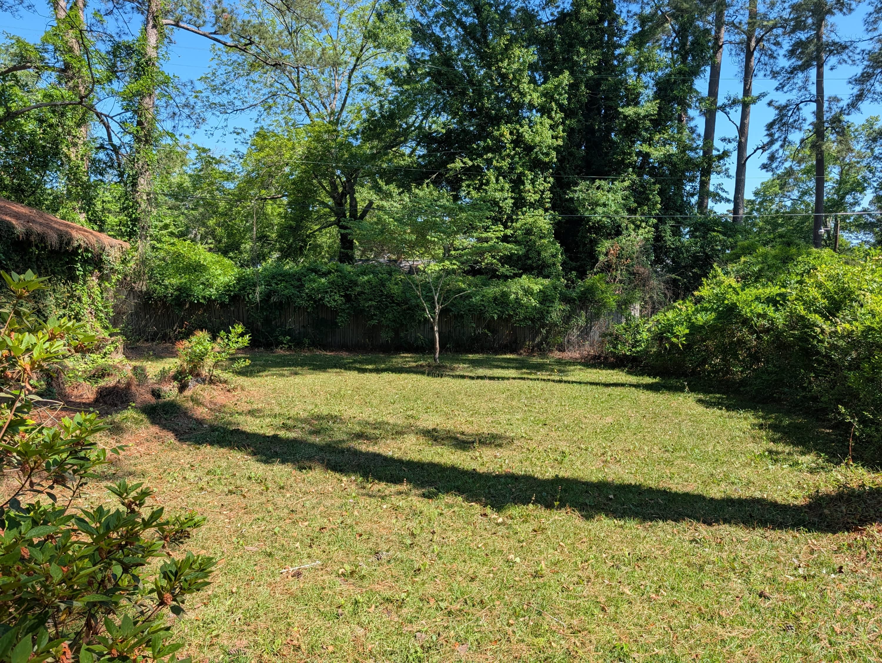 1007 Wildwood Avenue – photo 4