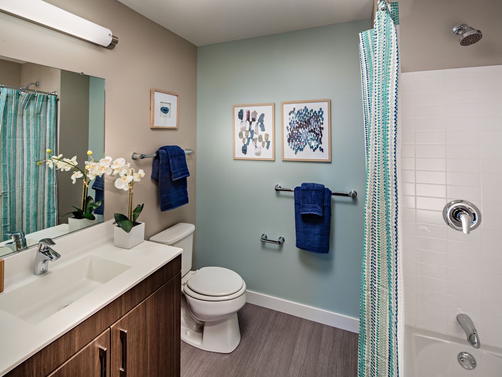 75 Rutland St – photo 5