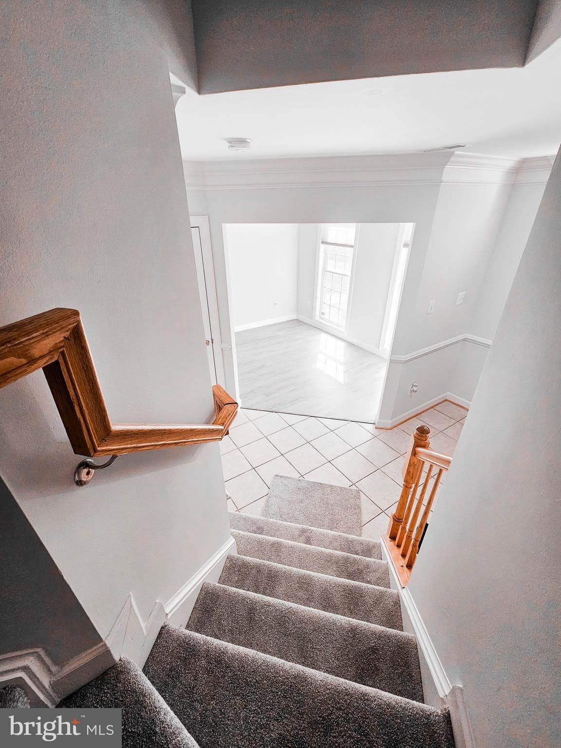 13117 Tannery Ridge Drive – photo 3