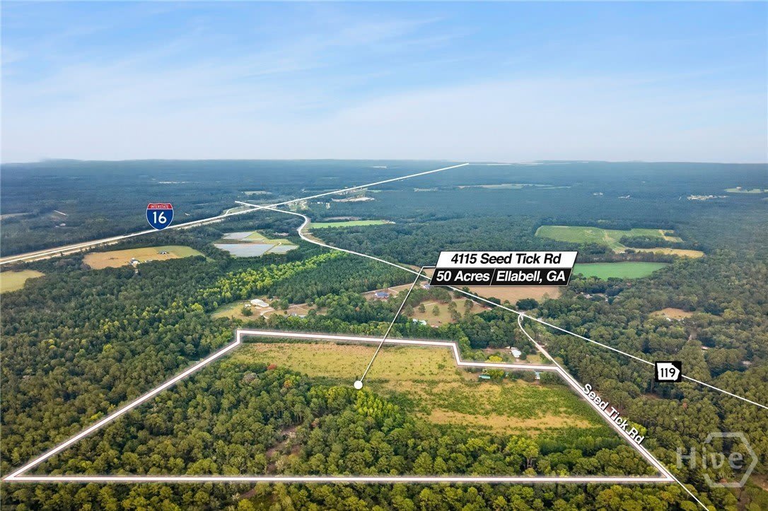 4115 Seed Tick Road – photo 4