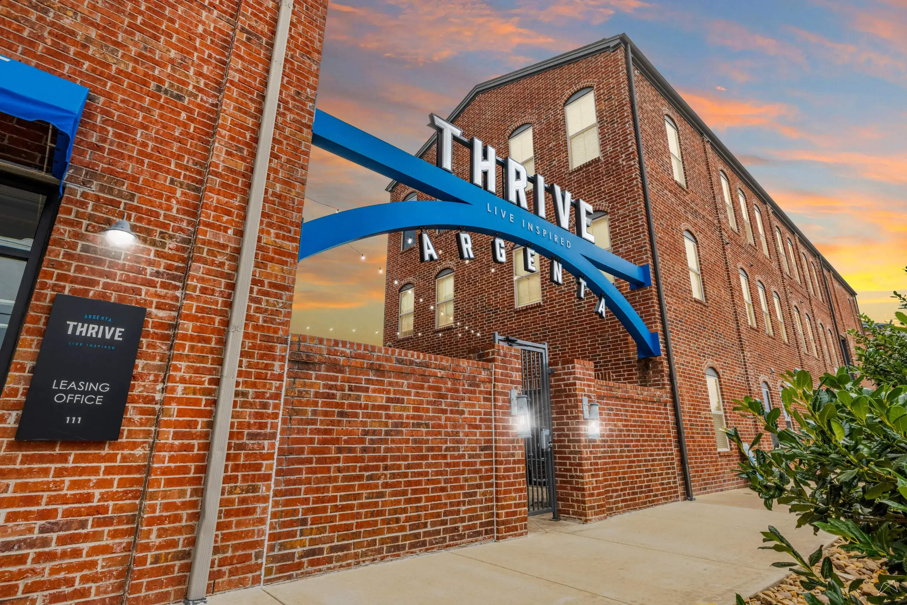 Thrive Argenta – photo 3