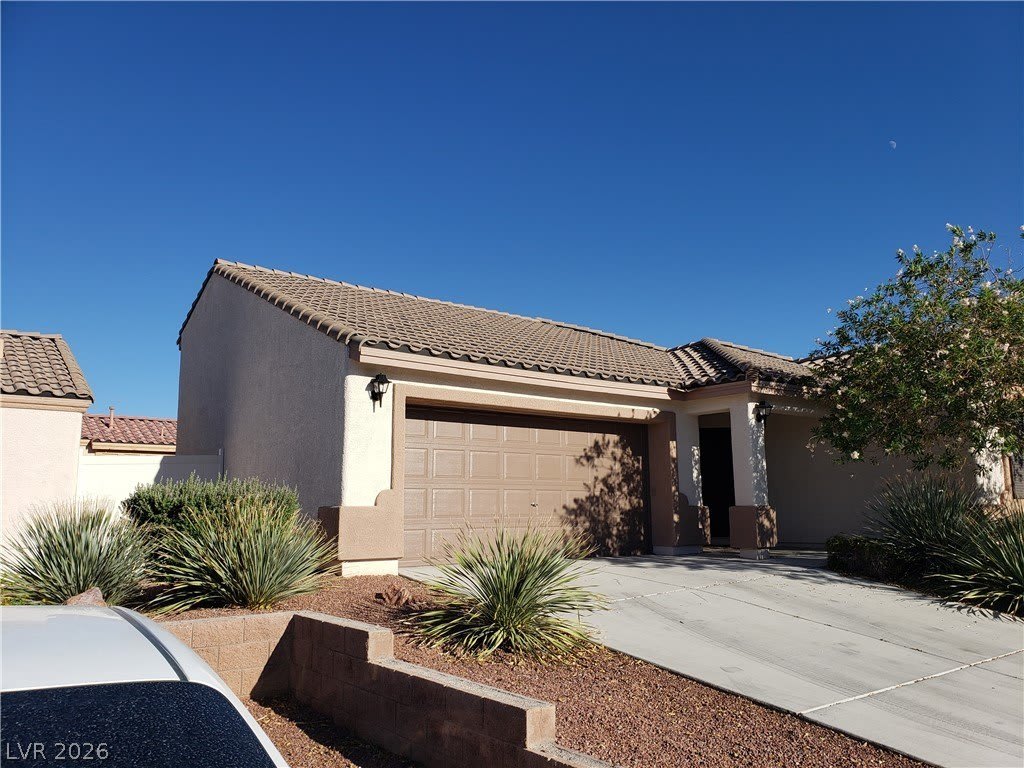 7876 CROWNBEARD Street – photo 3