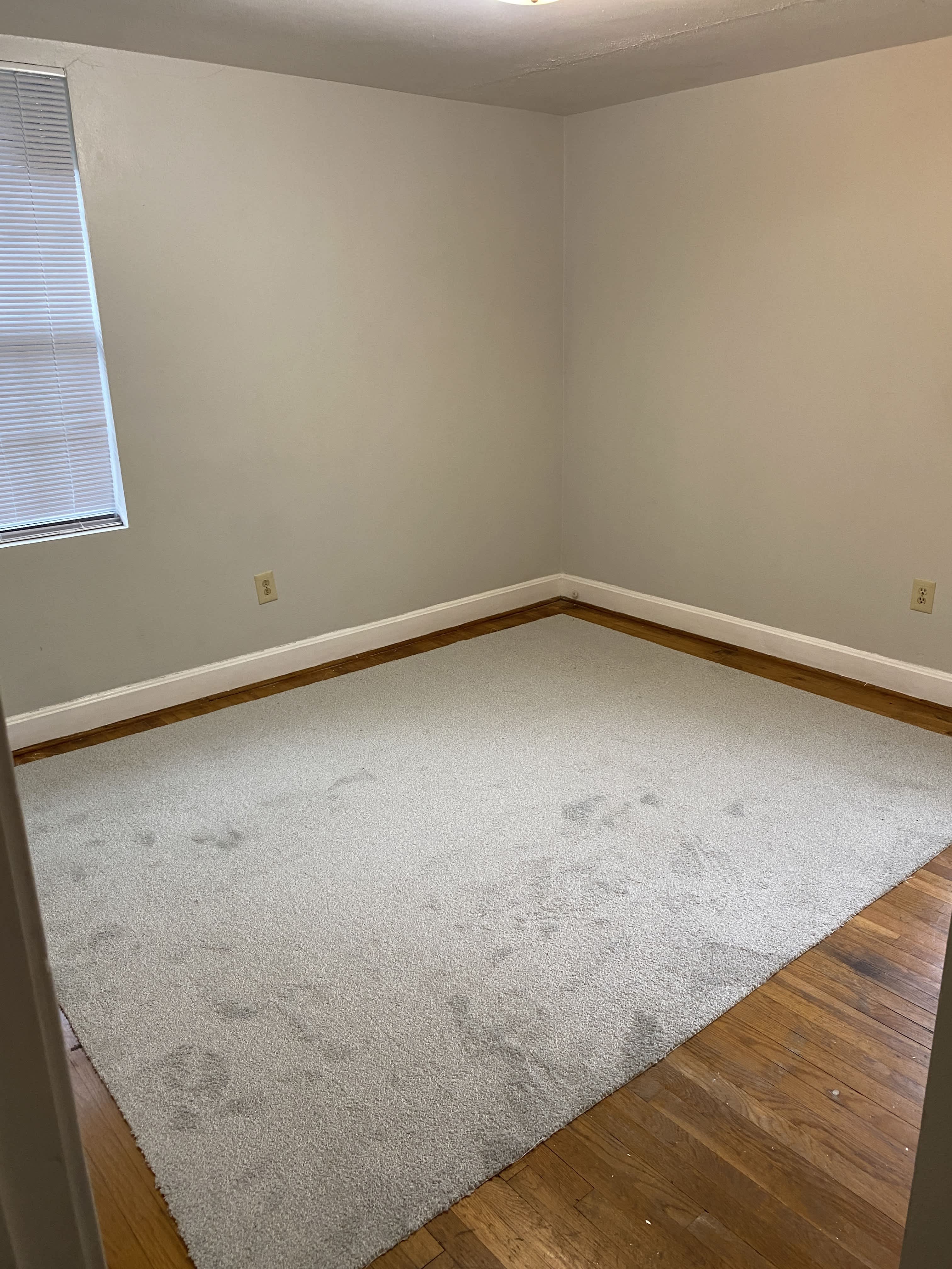 15 Seneca Road – photo 4