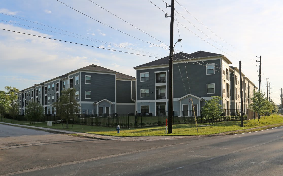 Apex – photo 4