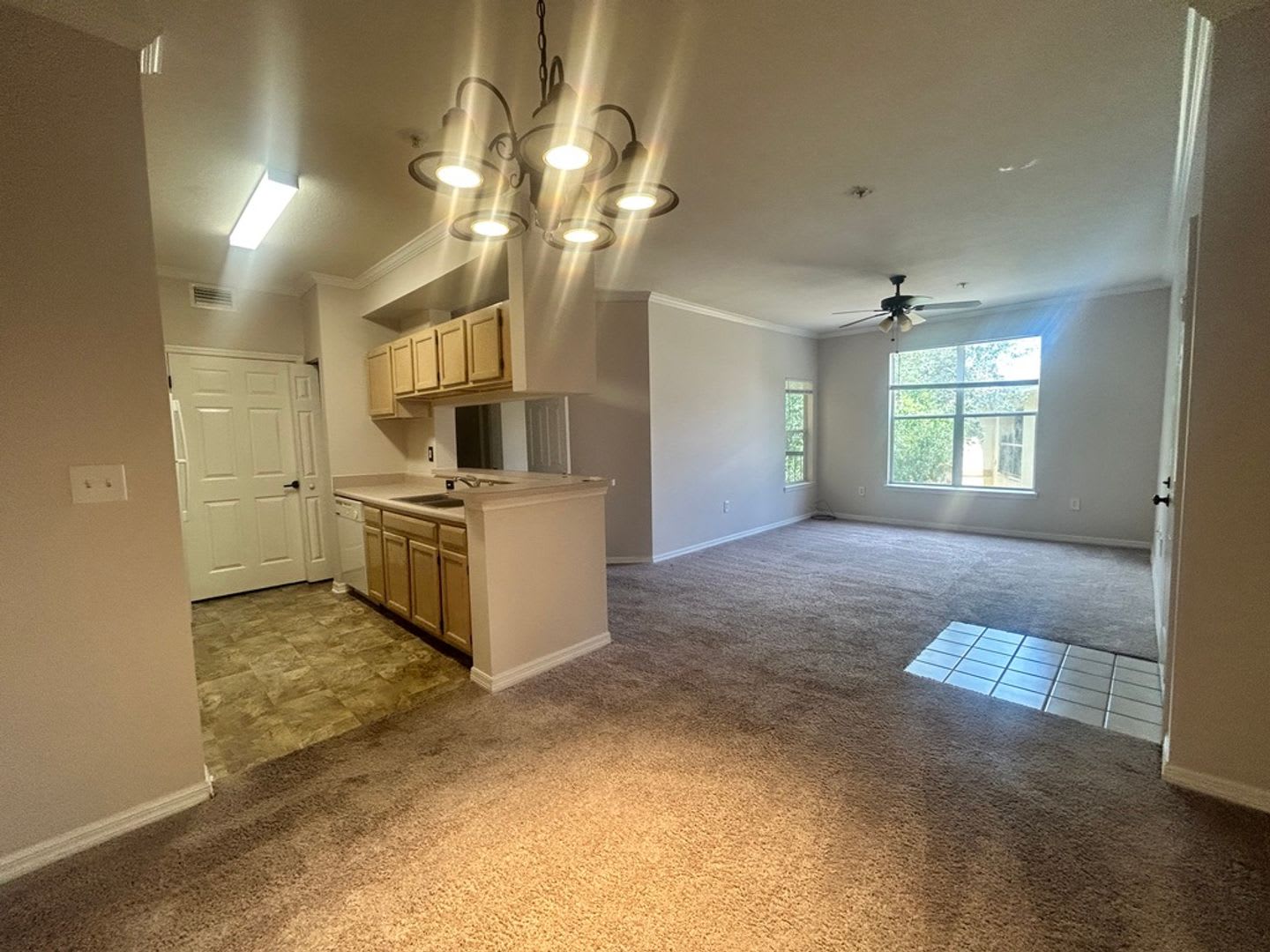 3rd Floor Unit, 1 bed/1 bath with Den in CARROLLWOOD AREA – photo 2
