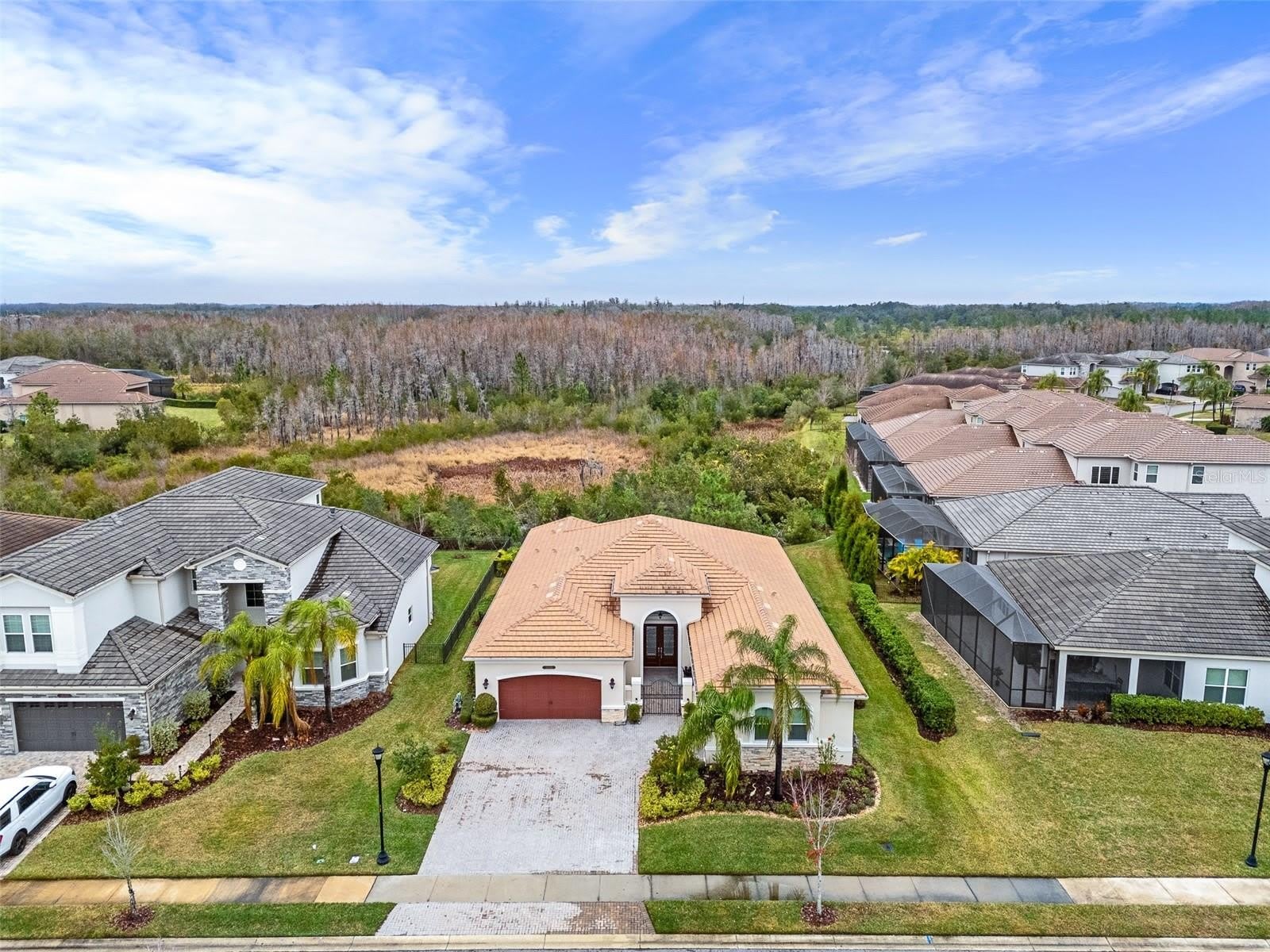 30715 TUMBLEBERRY Street – photo 4