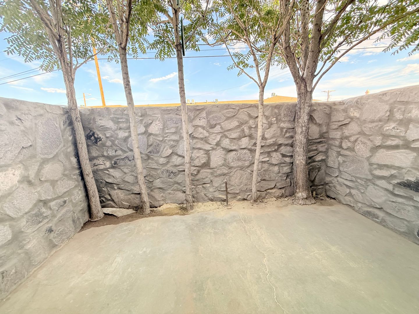 1491 E Alamo – photo 5