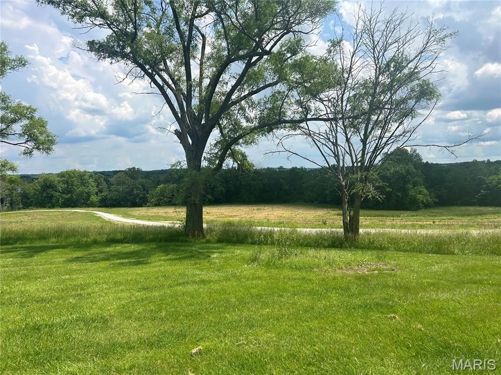 5370 Highway 100 – photo 3