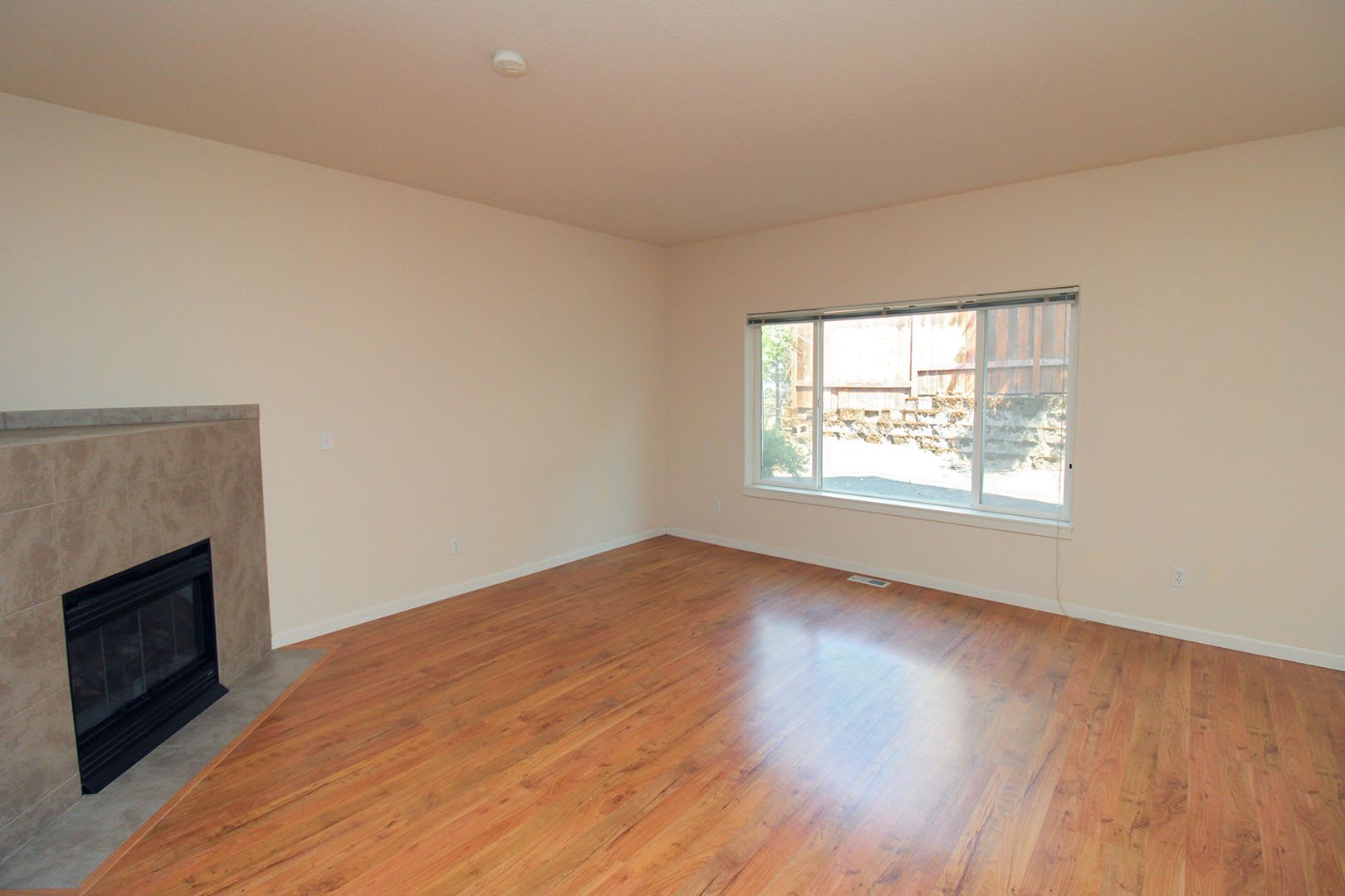 New Construction 3 Bedroom Farmington House – photo 4