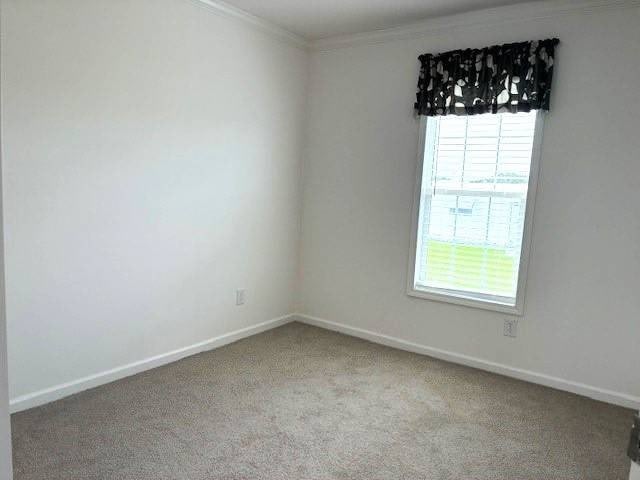 903 S Katies – photo 5
