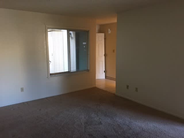 3920 Clear Acre Lane Unit 93 – photo 3