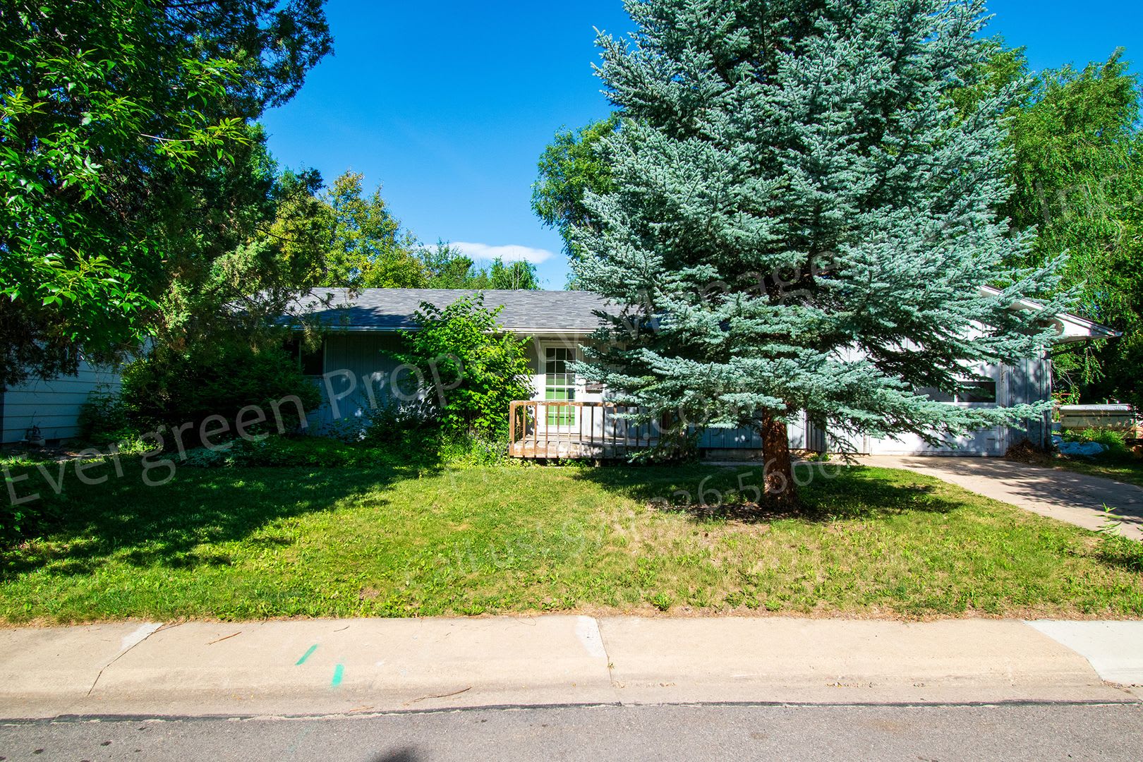 5-Bedroom Just Minutes From CSU! – photo 2