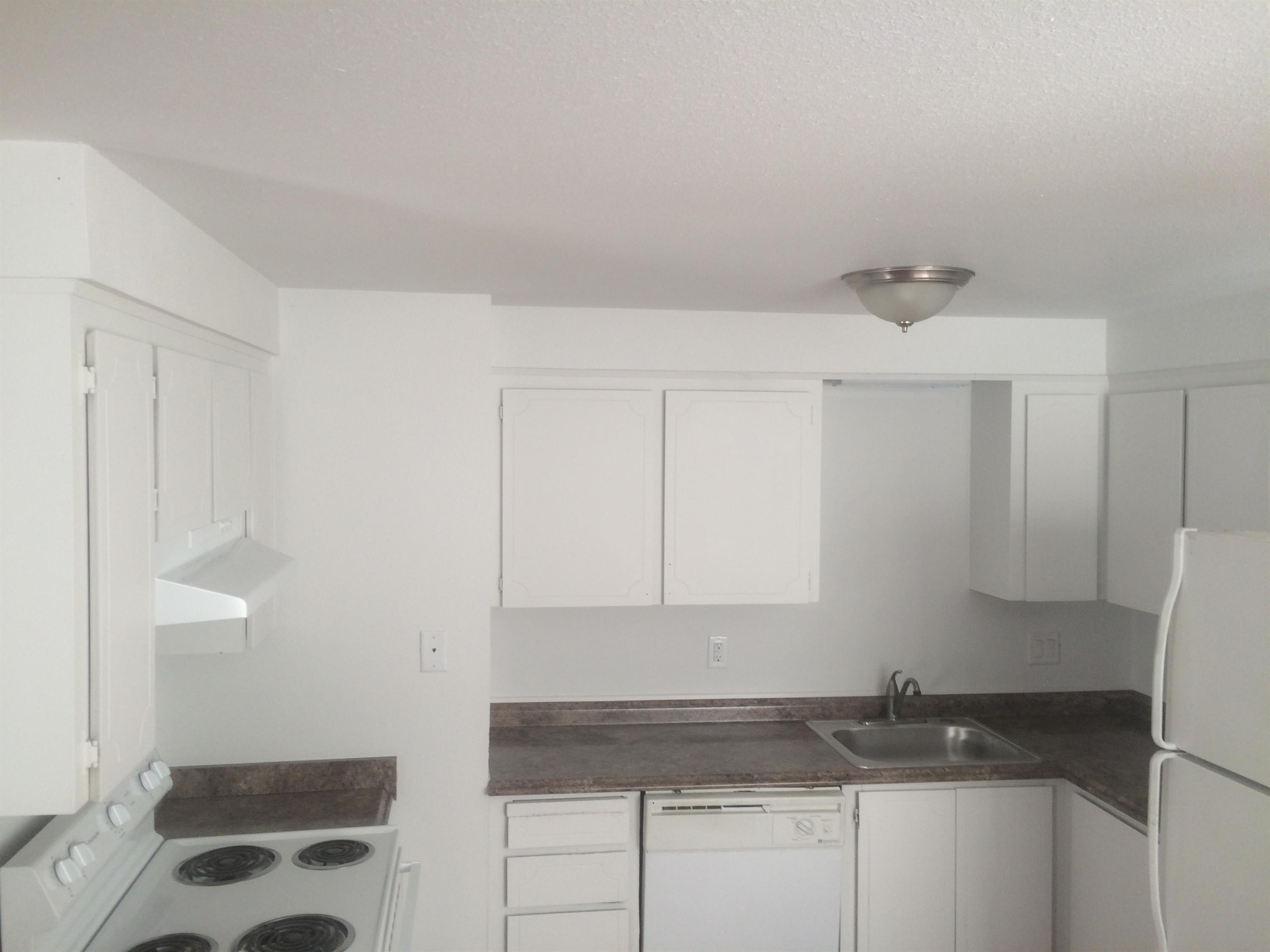 3050 Brittany Dr. – photo 4