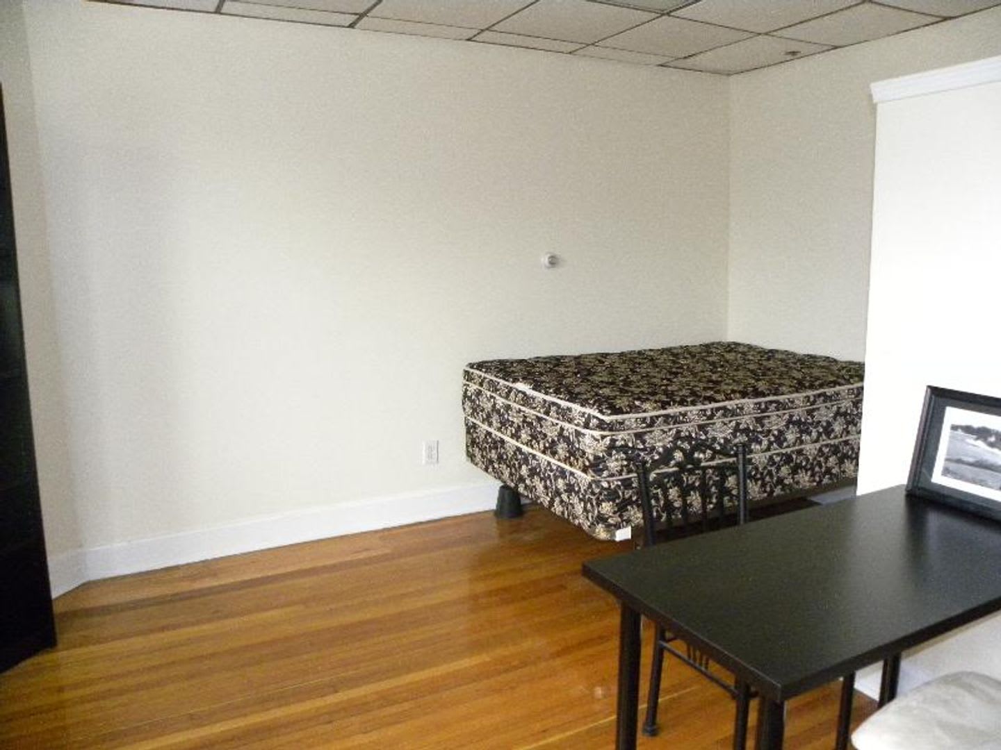 Nice studio in prime BU location – photo 3