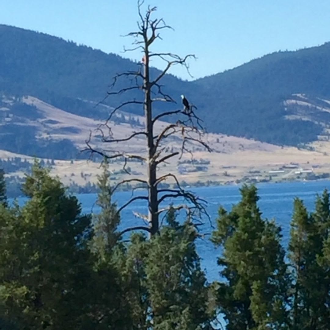 Lake Front Property With Orchard Desired Lease October 1St 2026 Thru May 31St 2027 Some Flexibility In Dates – photo 2