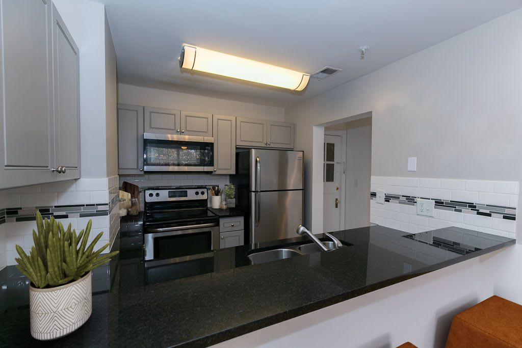 The Roosevelt Historic Apartment Homes – photo 3