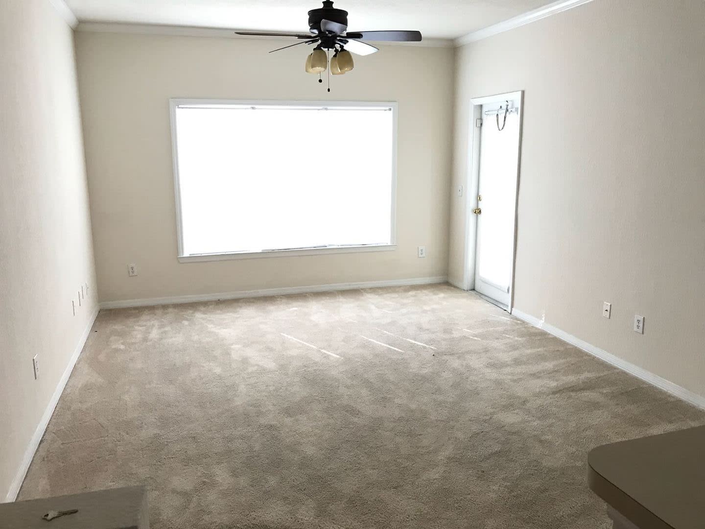 Beautiful 1-Bedroom Apartment for Rent in Mosaic at Millenia – photo 3