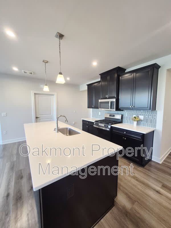3700 Maze Runner Drive – photo 5