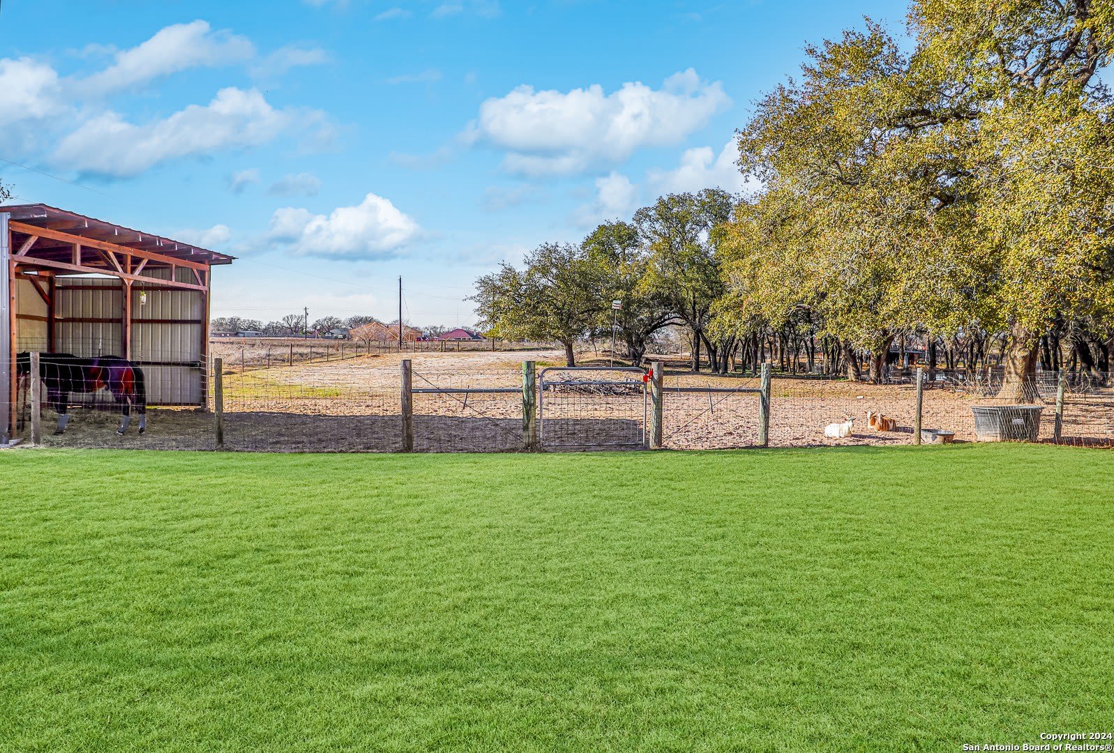 1561 COUNTY ROAD 320 – photo 3