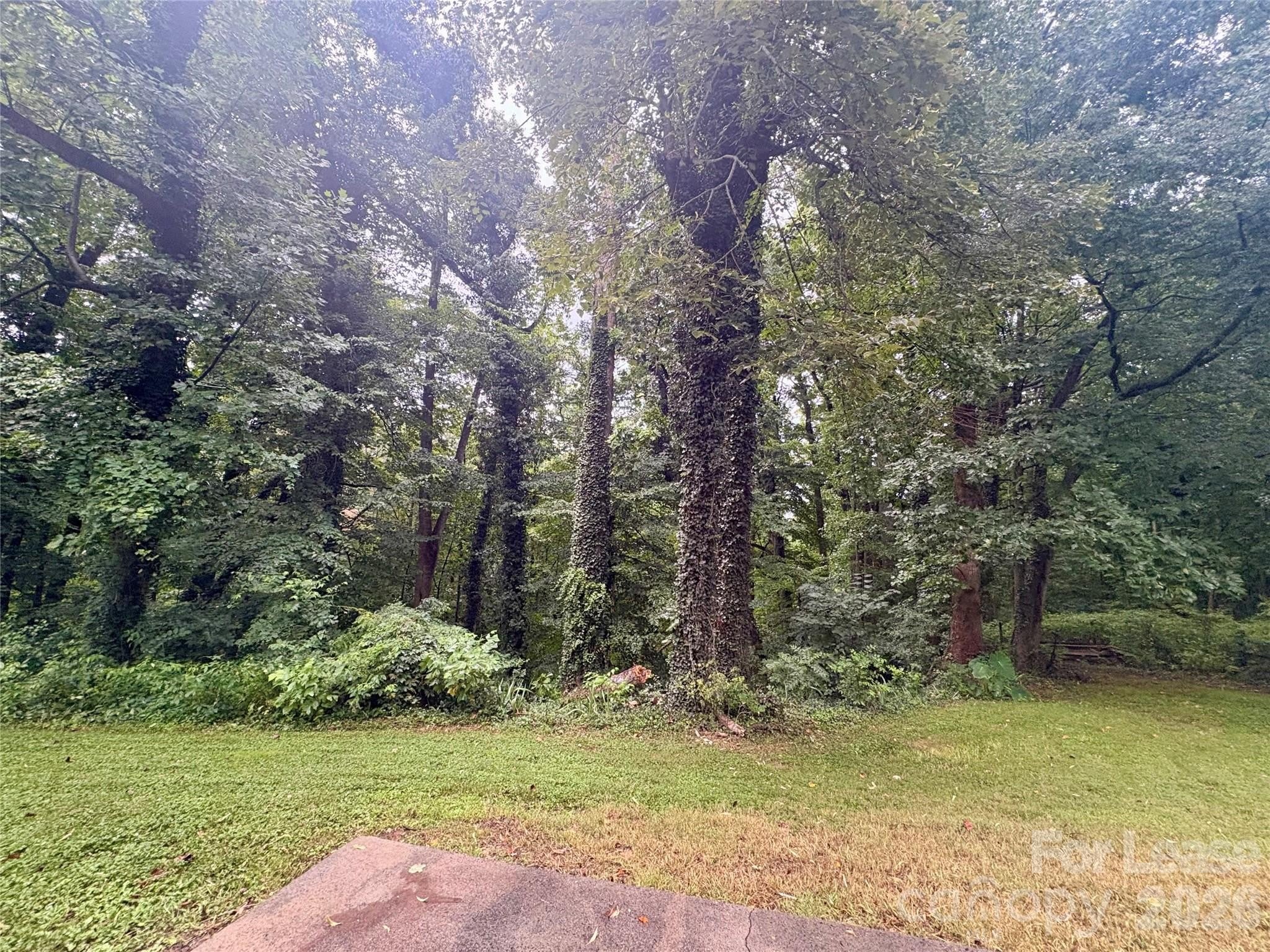 5517 Brook Falls Court – photo 5