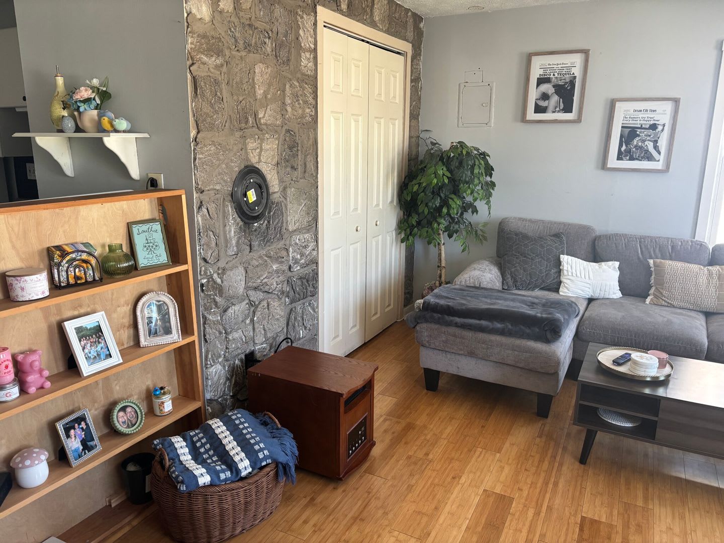 Large, updated 2 bed in a prime location in South Boston – photo 5