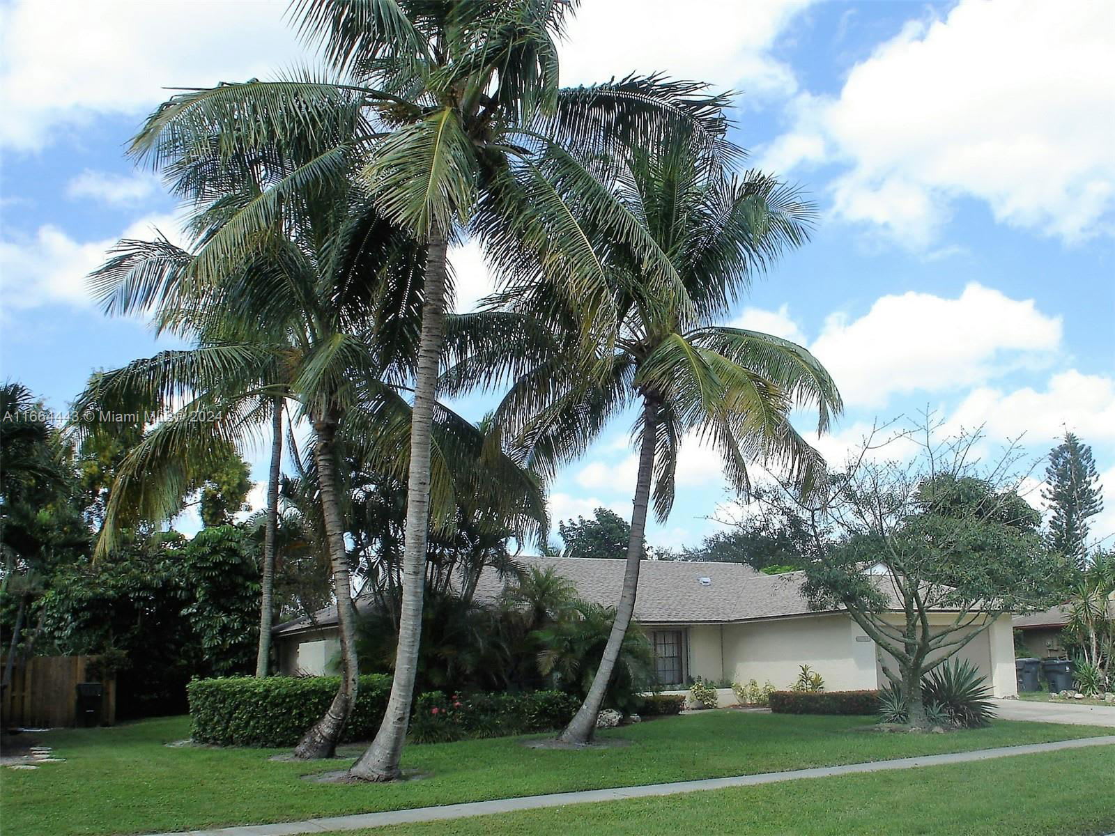 11297 Pine Valley Drive – photo 2
