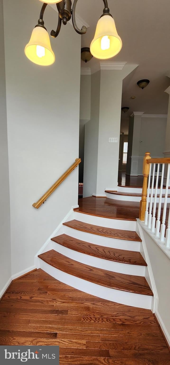 20622 GLENMERE Square – photo 2