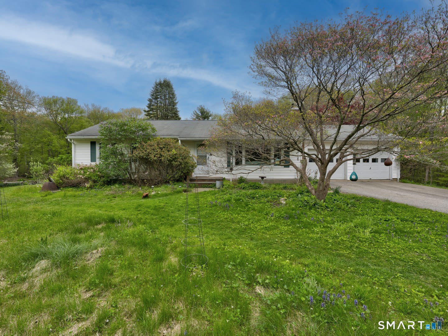 384 Woodland Road – photo 2