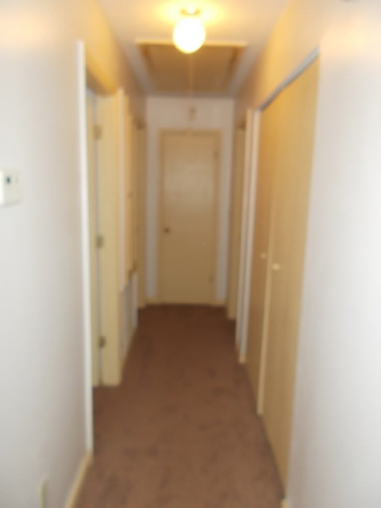 6806 Playfield Drive – photo 4