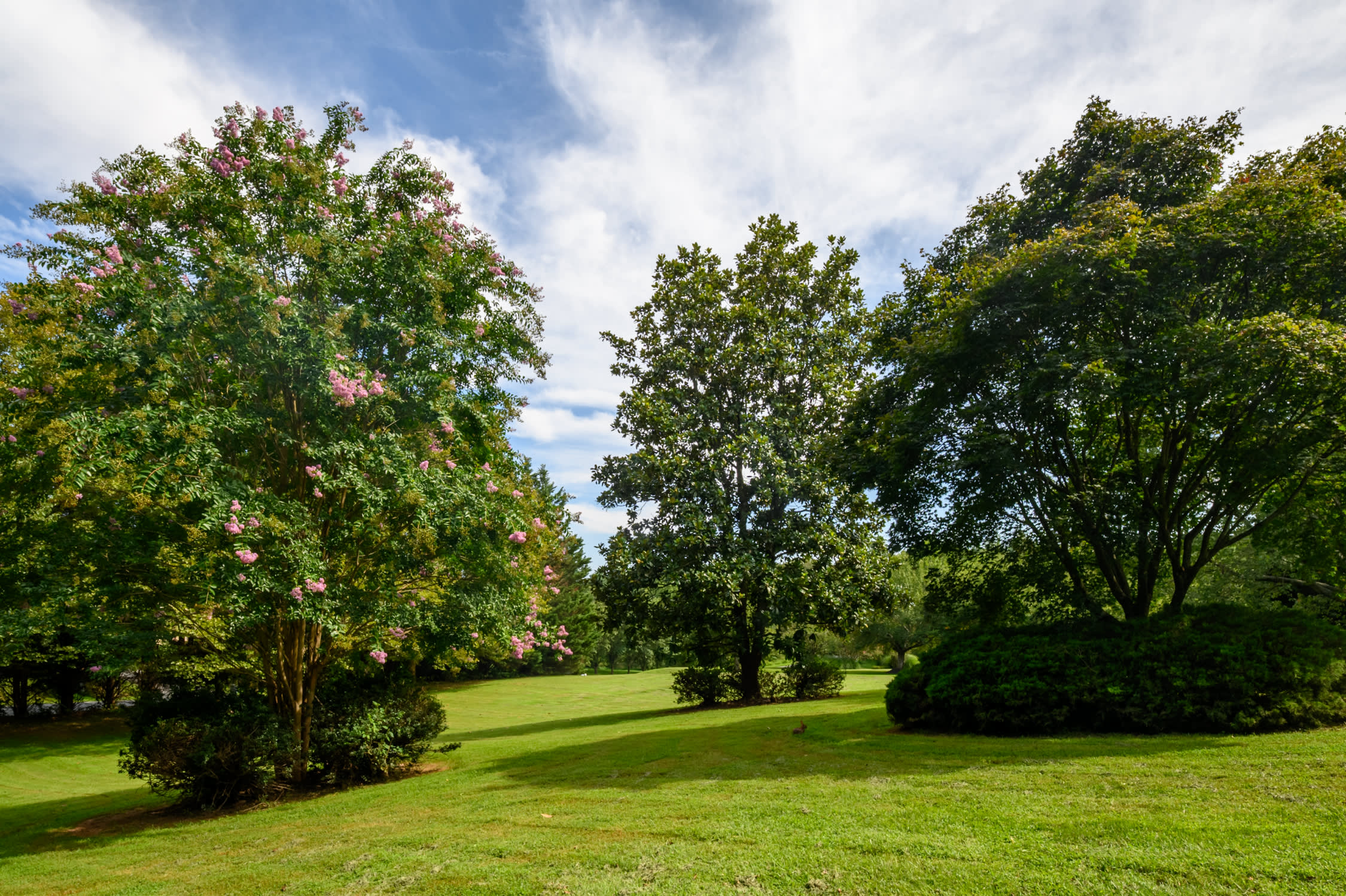 4512 Rutherford Way – photo 3