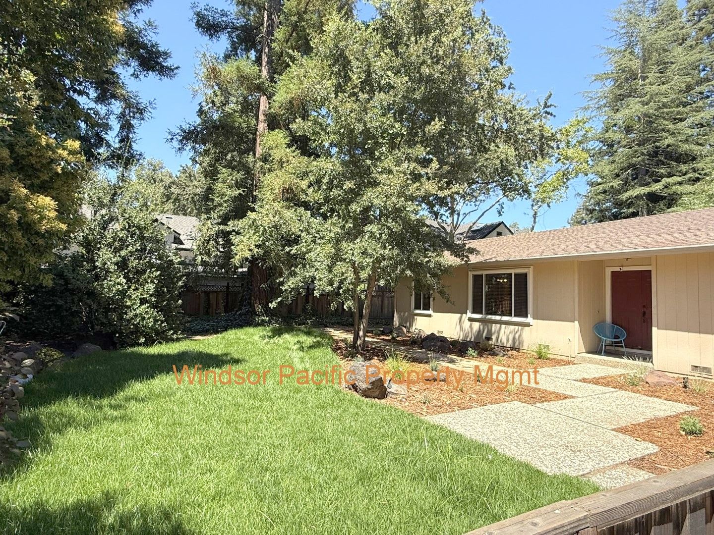 Remodeled one story home in highly desirable Alamo with huge park like yard! – photo 3