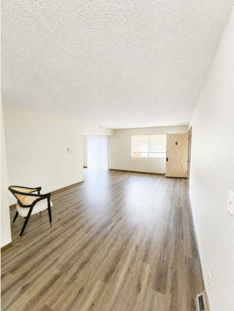 Orangewood – photo 3