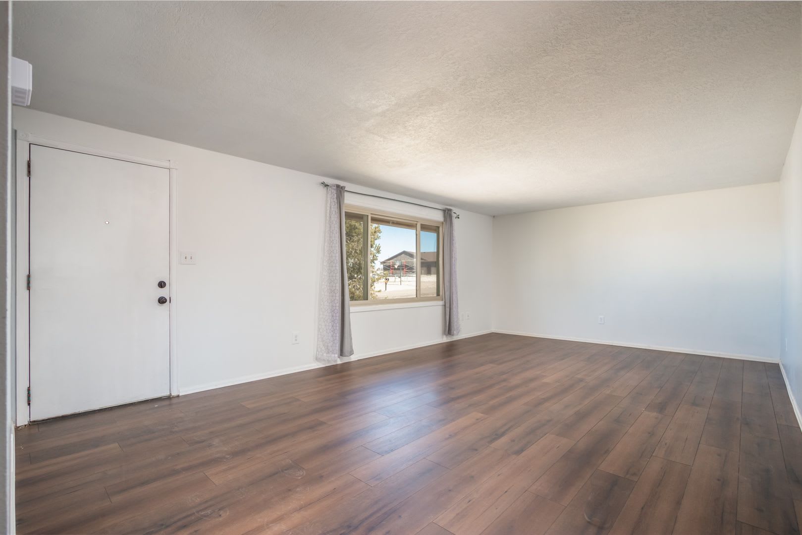 Spacious Ranch in Pueblo West! – photo 4