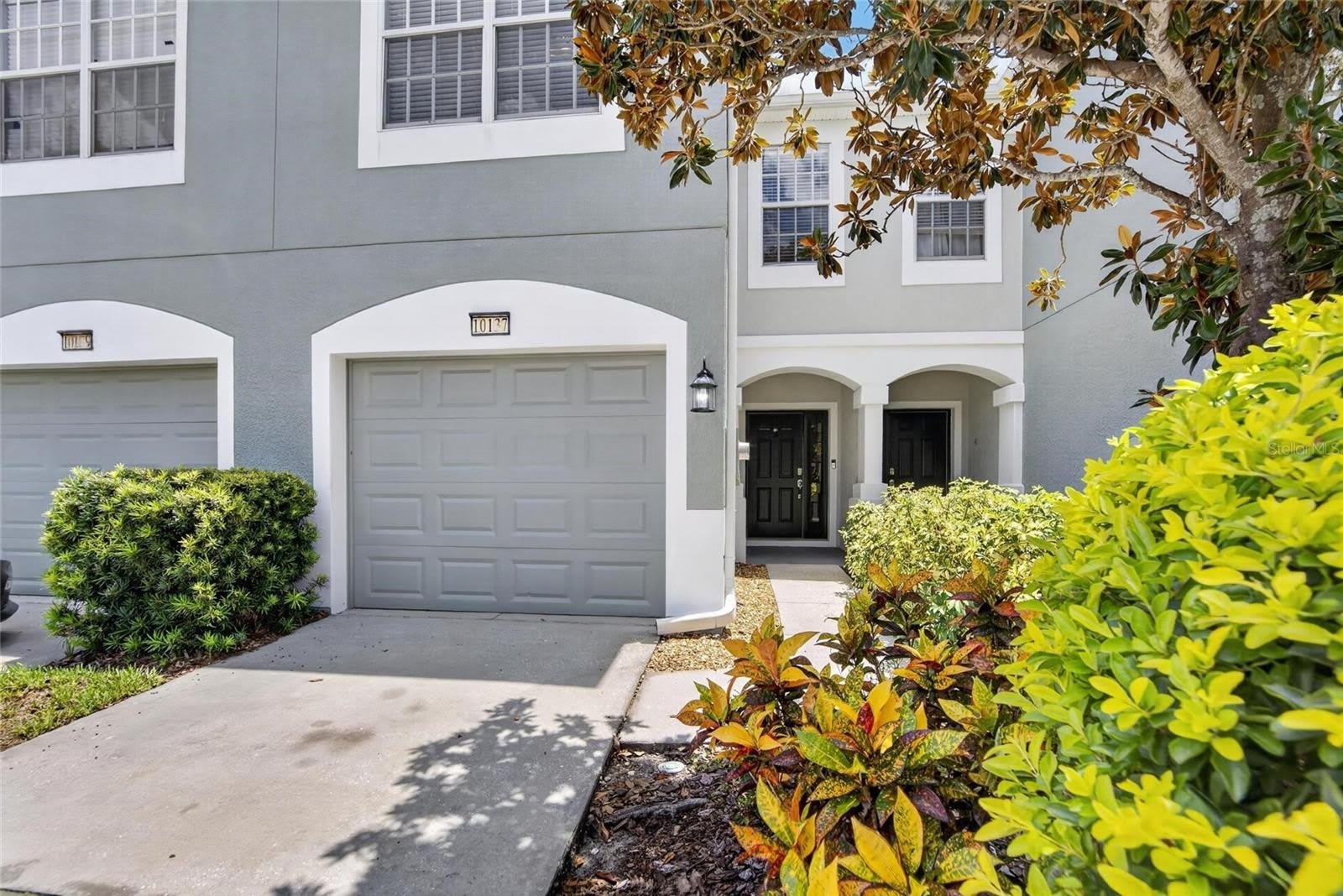 10137 PINK PALMATA Court – photo 1