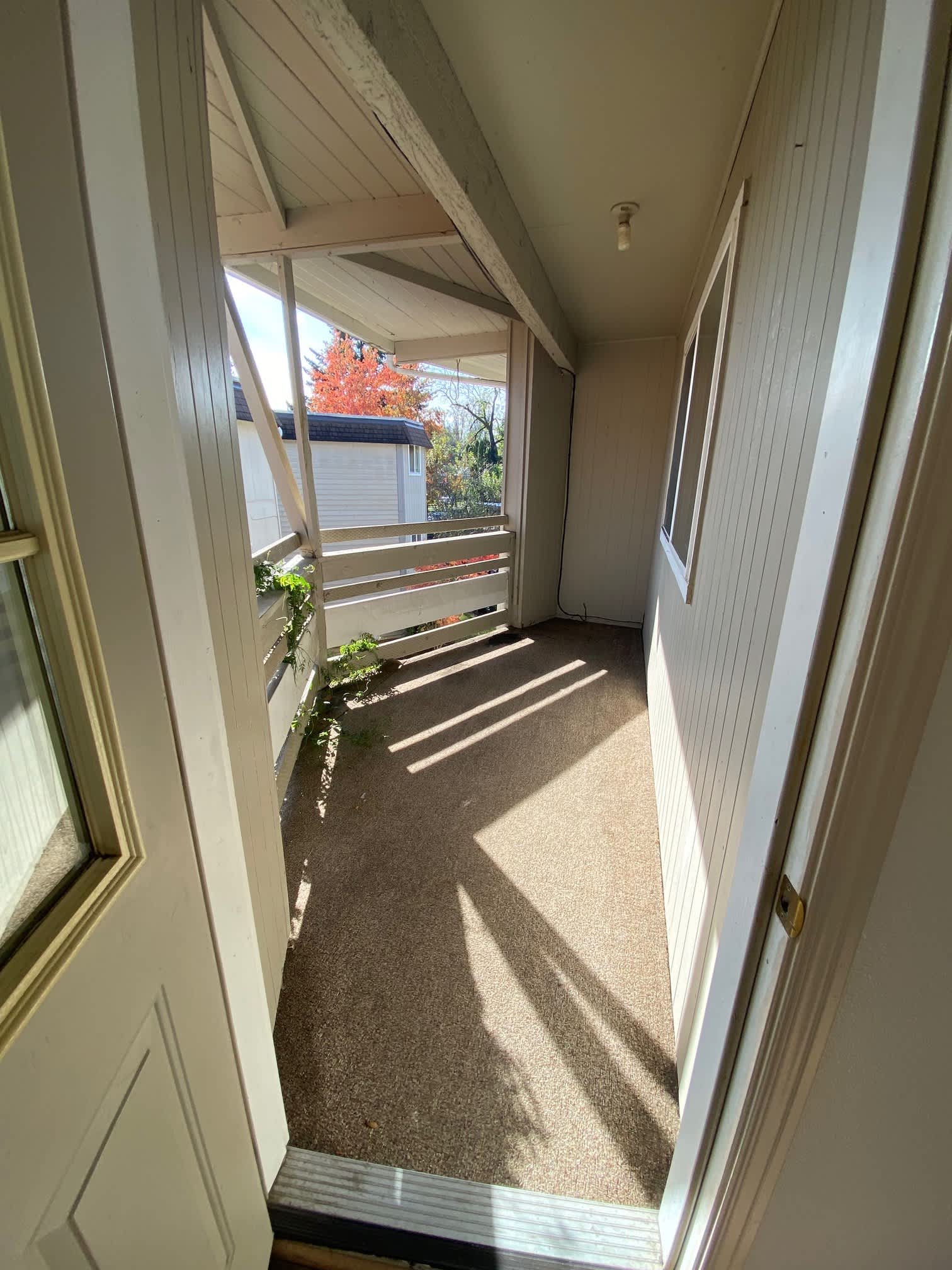 365 Madrona Ave. SE #C-3 – photo 3
