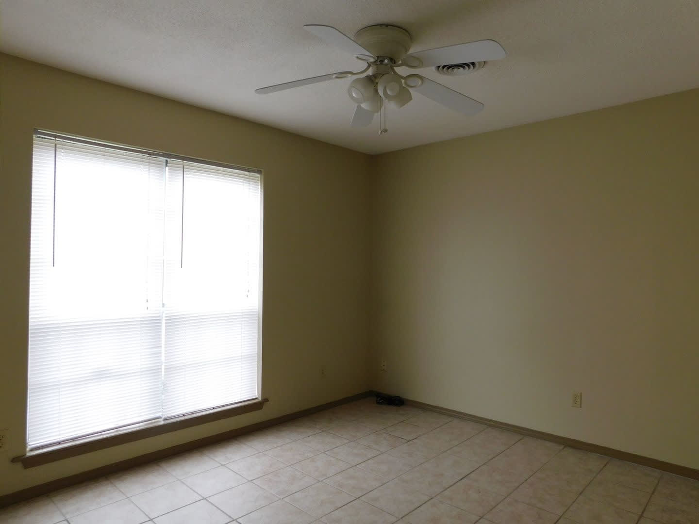 Charming 3 Bedroom 2 Bath House – photo 3