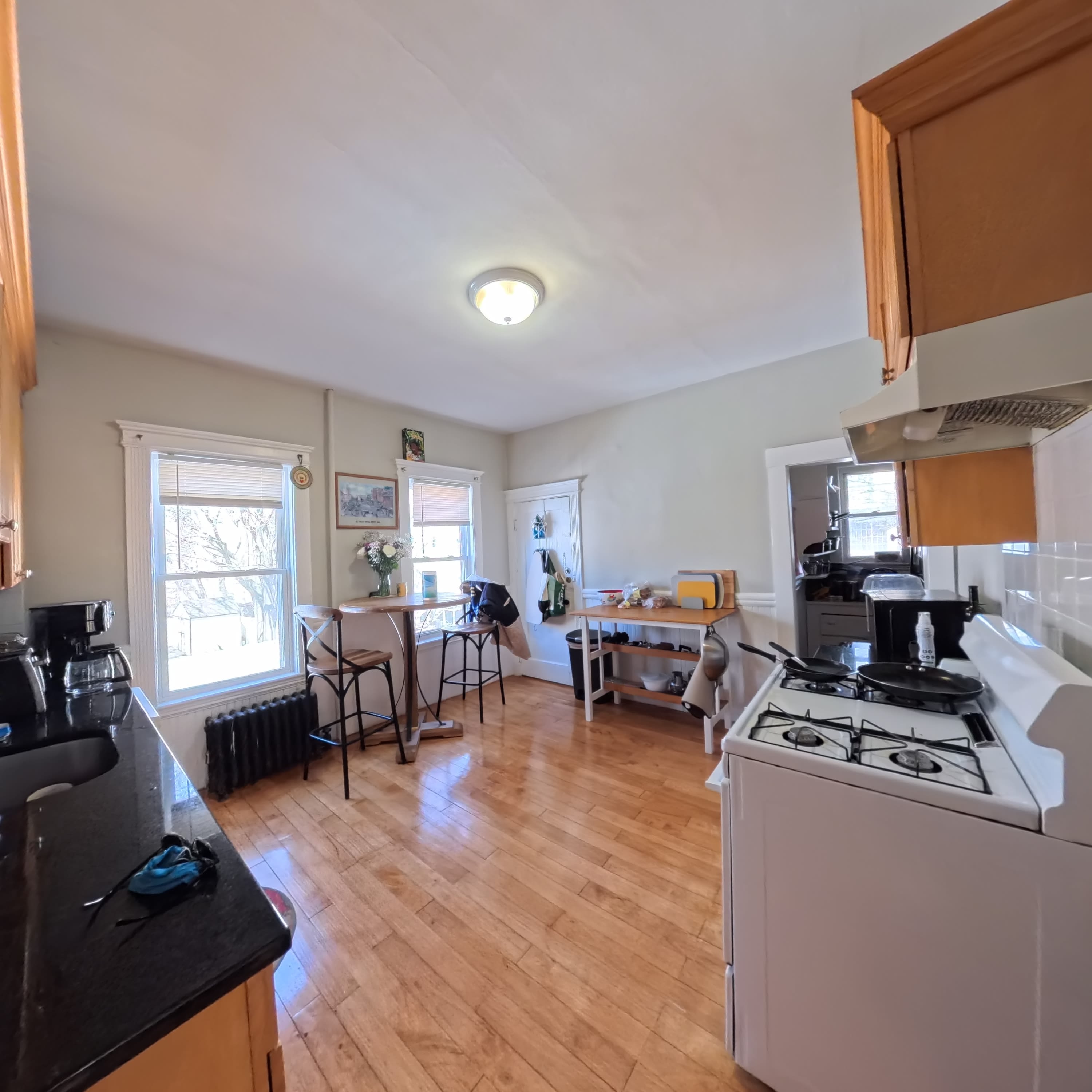 19 Arden StreetUnit 2 – photo 2
