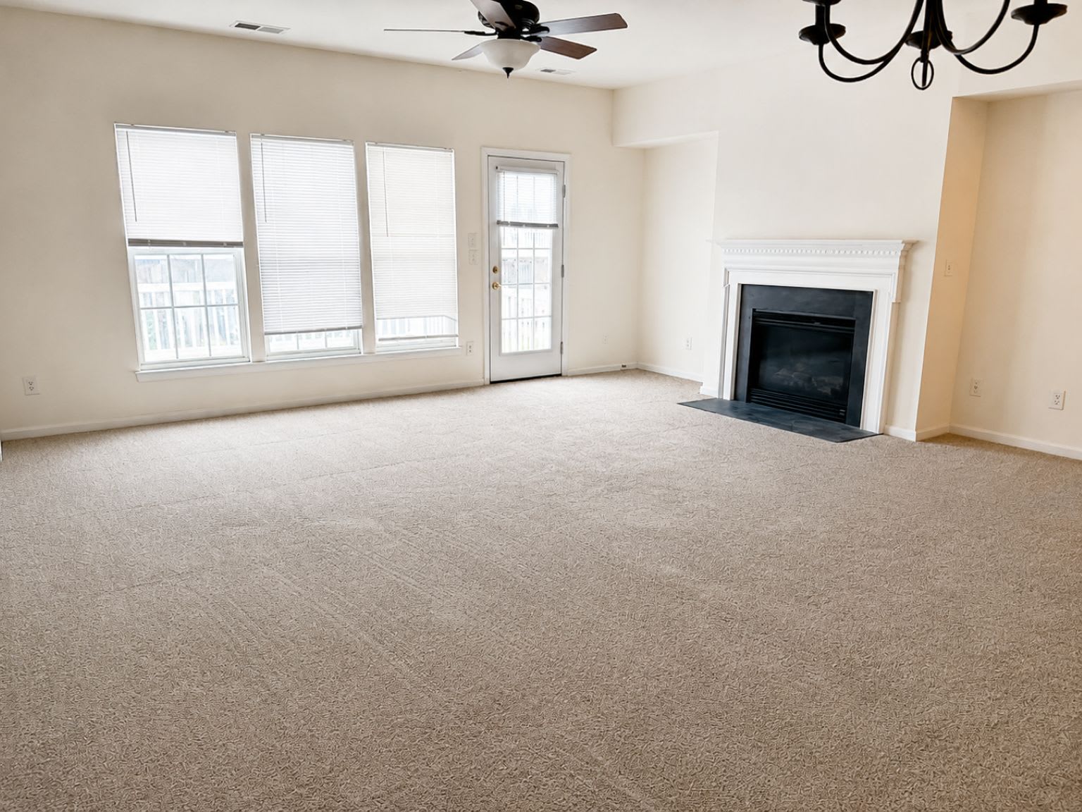 913 Tiger Lane – photo 5