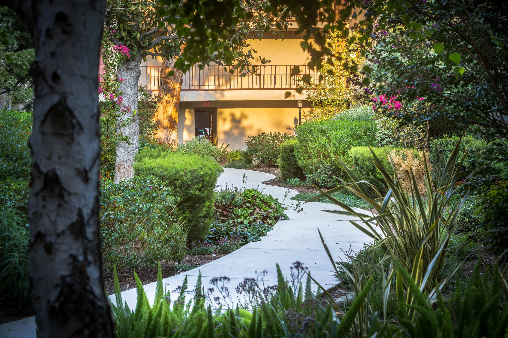 Woodland House – photo 5