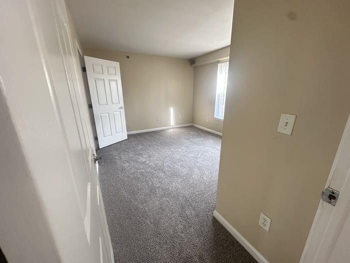 9459 Longs Peak Drive – photo 4
