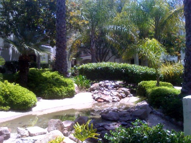 Community Pool/Spa – photo 2