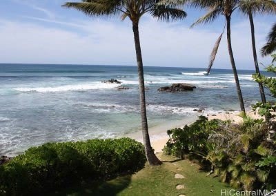 61-313 Kamehameha Highway – photo 3