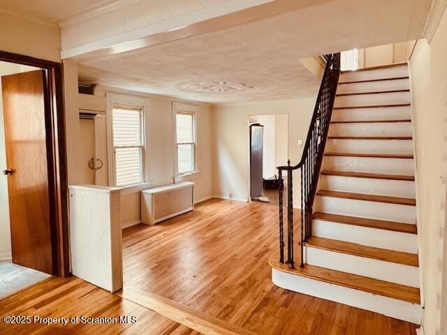 319 Dolph Street – photo 5