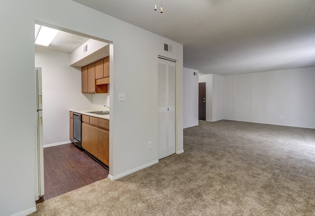 Ashley Pointe – photo 4