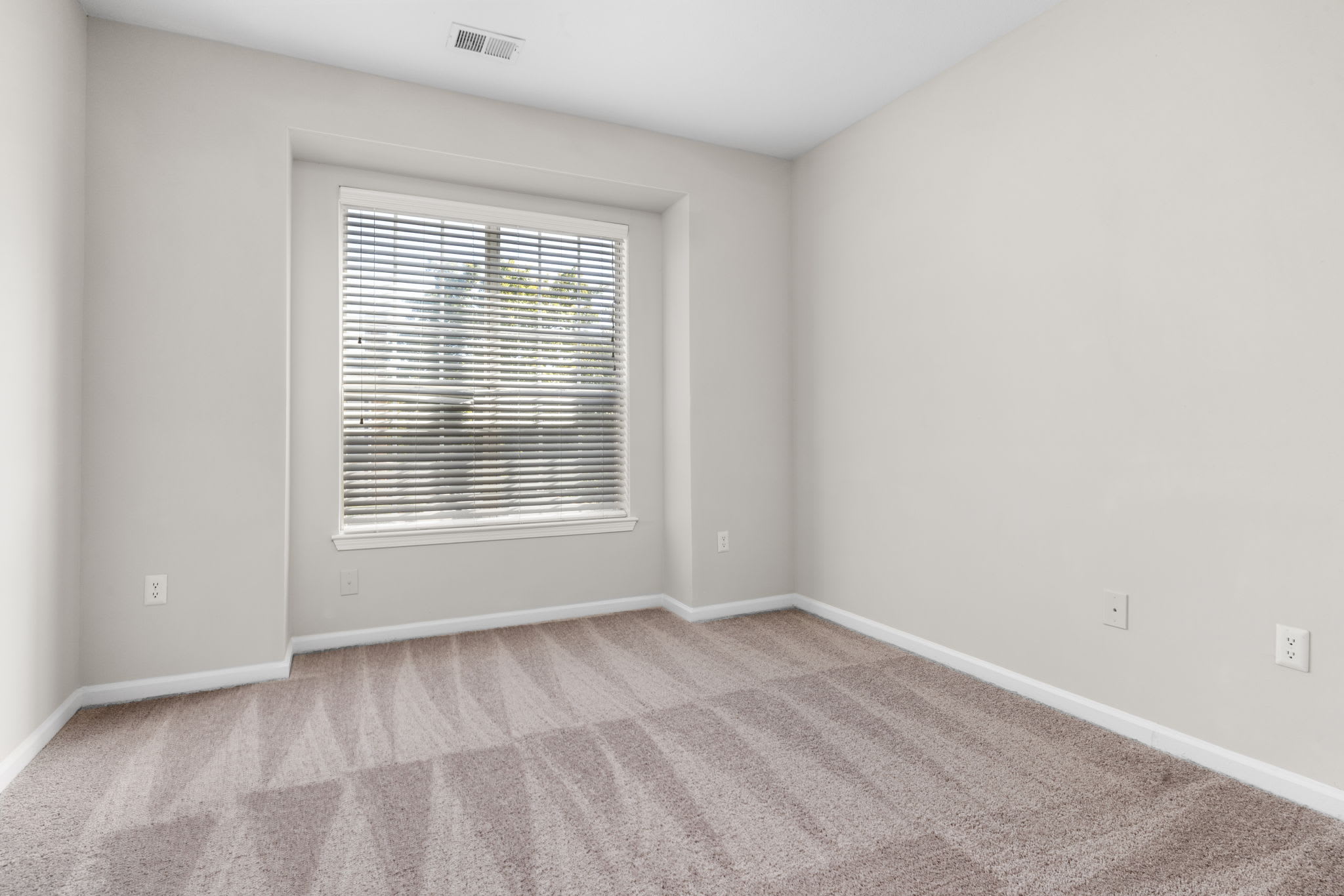 The Lex At Brier Creek – photo 4