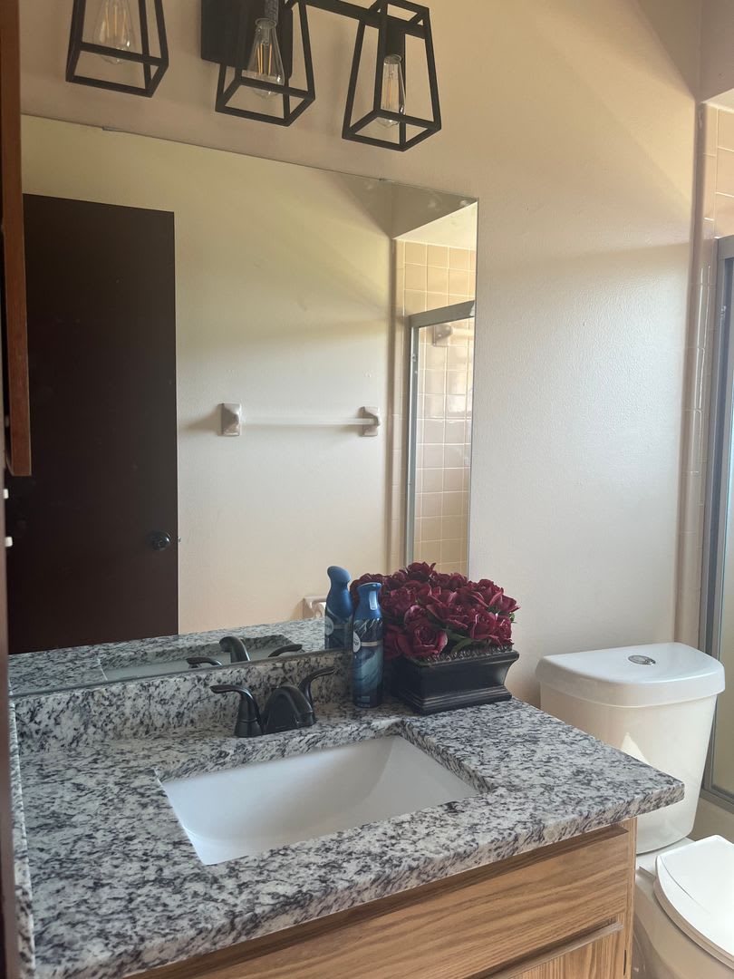 Kissimmee Rental – photo 4