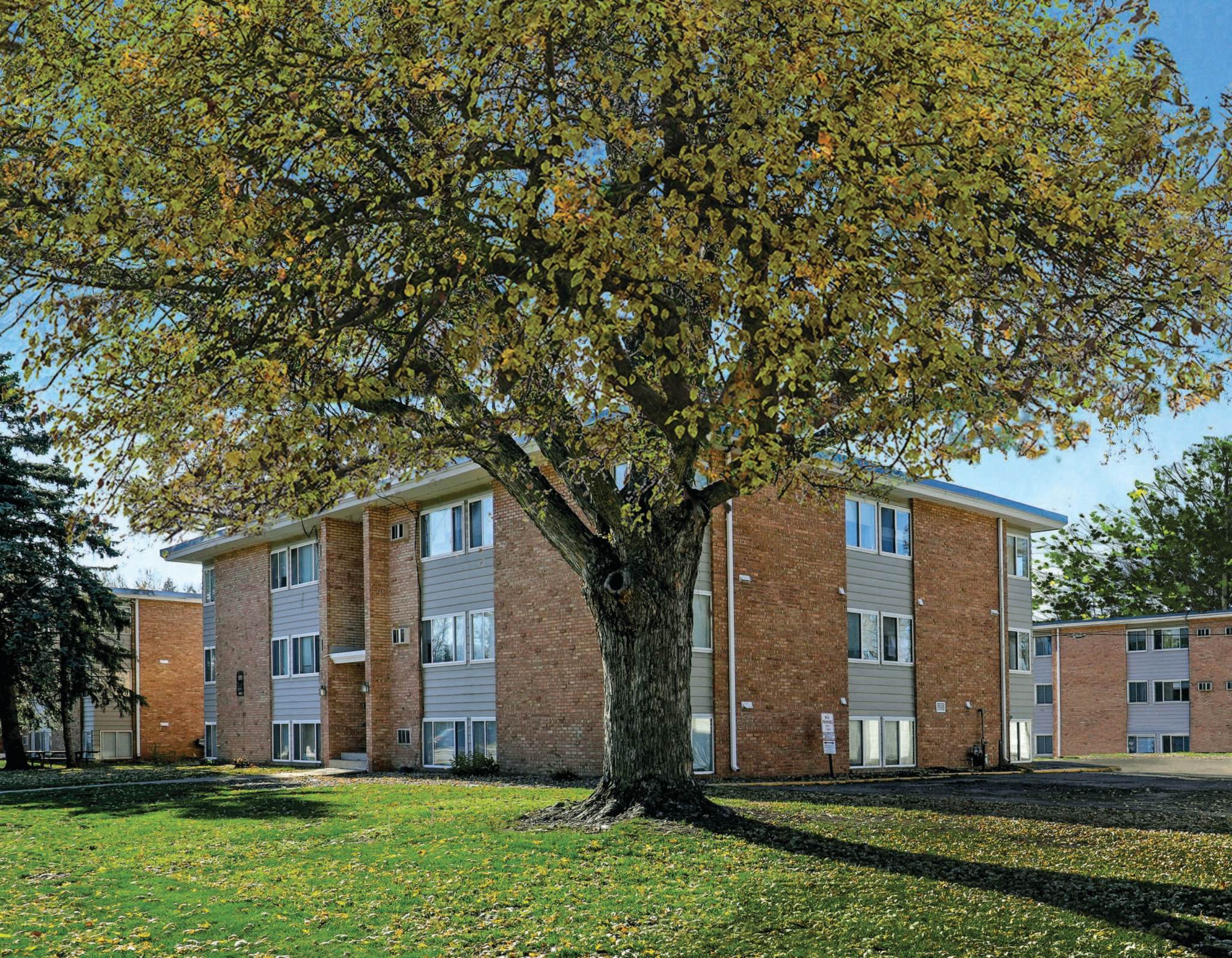 Portland Terrace – photo 3