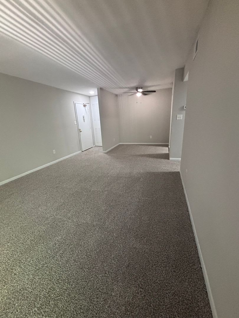 Spacious One Bedroom Available Close To University And Downtown Area – photo 4